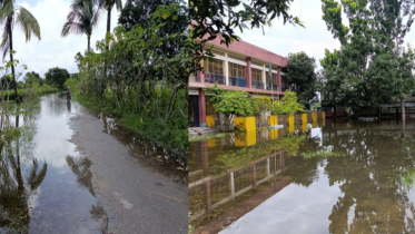 শার্শায় বন্যায় প্লাবিত বিস্তীর্ণ অঞ্চল, আশ্রয়কেন্দ্রে উঠছে মানুষ 