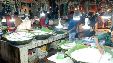 ভরা মৌসুমেও ইলিশের আগুন-দাম
