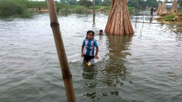 পদ্মার পানি বিপৎসীমা ছুঁইছুঁই, কুষ্টিয়ার নিম্নাঞ্চল প্লাবিত