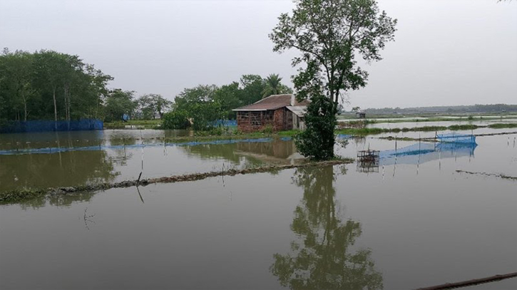 জলাবদ্ধতা দূর হলে বাড়বে অর্ধশত কোটি টাকার উৎপাদন 