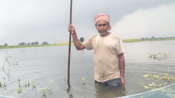 শালিখায় পানিতে ভেসে গেছে অর্ধশতাধিক মাছের ঘের