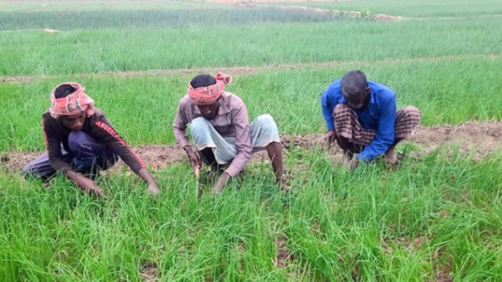 পর্যাপ্ত মজুতের পরও ডিলারদের কারসাজিতে  কৃত্রিম সংকট, উৎপাদন বিপর্যয়ের আশঙ্কা