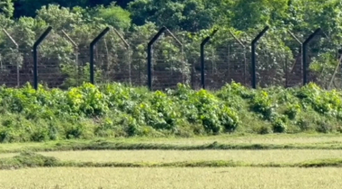 ফেনী সীমান্তে বিএসএফের গুলিতে দুই বাংলাদেশি নিহত, আহত ১