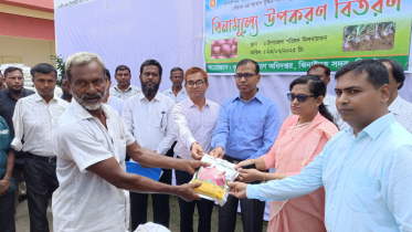 ঝিনাইদহে সাড়ে ৮’শ কৃষকের মাঝে বিনামূল্যে পেঁয়াজ বীজ ও সার বিতরণ