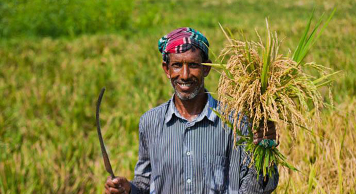 চরম দুর্দিনে কৃষিখাত
