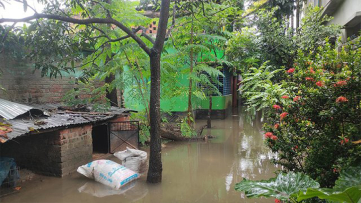 সাতক্ষীরায় পানির নিচে আউশ, ভেসে গেছে ঘেরের মাছ সাতক্ষীরায় পানির নিচে আউশ, ভেসে গেছে ঘেরের মাছ