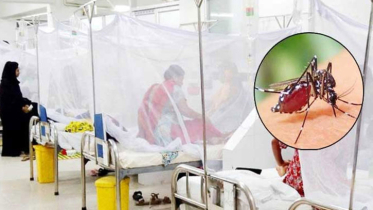 ডেঙ্গুতে আরও ২ জনের মৃত্যু, আক্রান্ত ৩২৬