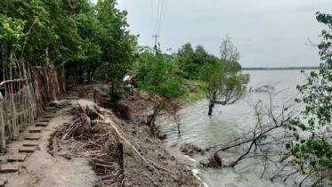 ঘষিয়াখালি চ্যানেলে ভাঙনের হুমকি