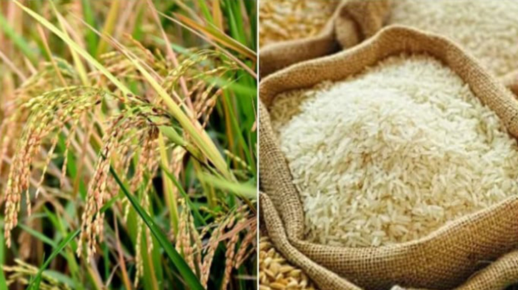 চলতি আমন মৌসুমে ৩৪ টাকা দরে ধান ও ৫০ টাকা দরে চাল কিনবে সরকার