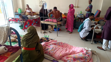 ঝিনাইদ‌হে বিএন‌পির দু’প‌ক্ষে সংঘর্ষ, আহত ১০