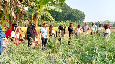 মহেশপুরে জলবায়ু বিপদাপন্নতা ও পরিবেশ ব্যবস্থাপনা বিষয়ক প্রশিক্ষণ