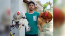 শখের মুরগির খামারে সাবলম্বী সোহেল রানা শখের মুরগির খামারে সাবলম্বী সোহেল রানা