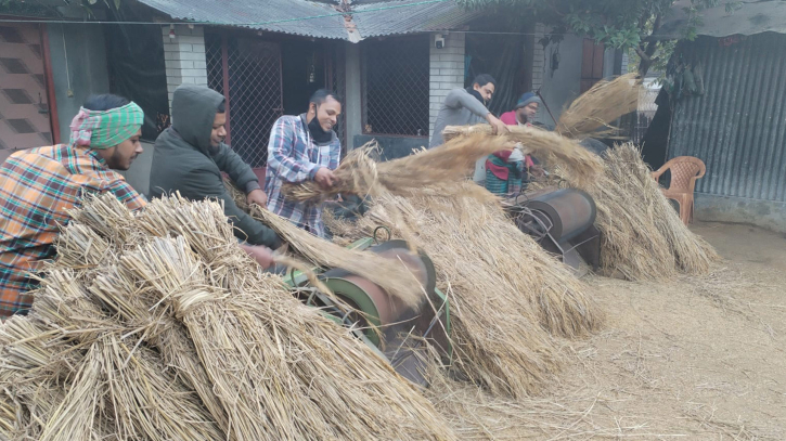 শালিখায় অসুস্থ কর্মীর দুই বিঘা জমির ধান মাড়াই জামায়াত নেতাকর্মীদের