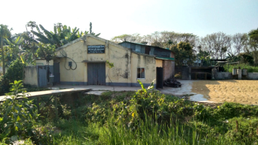 এ যেন ‘টাকা কামানোর’ মিল!