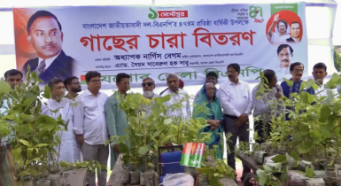 যশোরে প্রতিষ্ঠাবার্ষিকীতে গাছের চারা বিতরণ বিএনপির