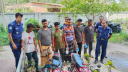 কোটচাঁদপুরে ১৮ দিন পর ৬ ছিনতাইকারী গ্রেপ্তার 