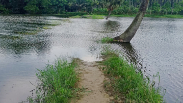 হাঁটু পানিতে নিমজ্জিত রাস্তা, তিন কিলোমিটার ঘুরে স্কুলে যাতায়াত