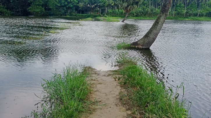 হাঁটু পানিতে নিমজ্জিত রাস্তা, তিন কিলোমিটার ঘুরে স্কুলে যাতায়াত