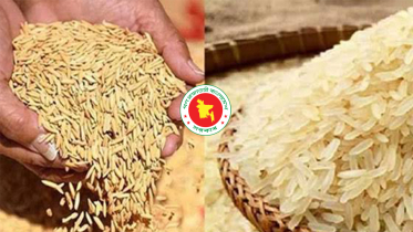কৃষকের বোরো ধান ৩৬ টাকা ও ৪৯ টাকা দরে চাল কিনবে সরকার