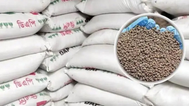 বিসিআইসি-বিএডিসি সার ডিলার নামে বিভাজন থাকছে না