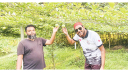 বিদেশি ফল আনারকলিতে যুবকের বাজিমাত