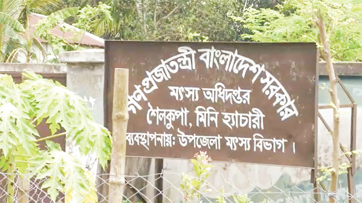 বন্ধ হ্যাচারিতে কাগজে রেণু উৎপাদন