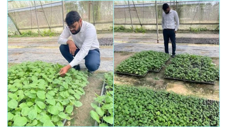 জলাবদ্ধতার বুকে সবুজ বিপ্লব