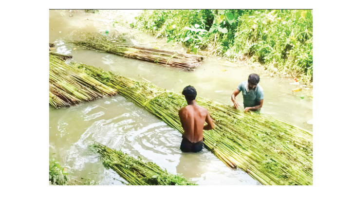 আলফাডাঙ্গায় খাল পুনঃখননে স্বস্তি ফিরেছে পাটচাষিদের