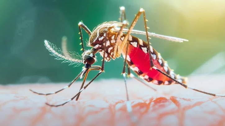 ডেঙ্গুতে একদিনে ৫ জনের মৃত্যু, হাসপাতালে ৮৩৯