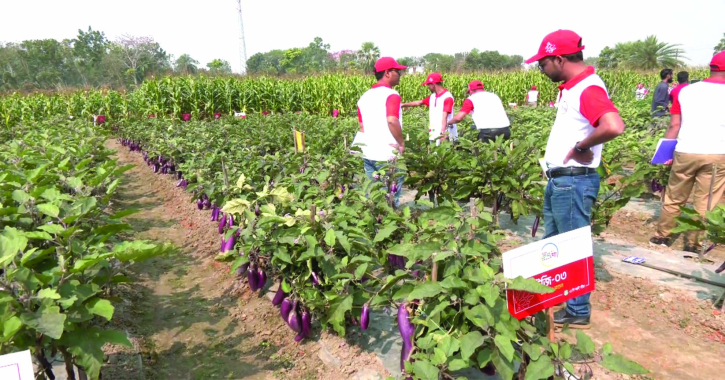 যশোরে ১২৯ জাতের উচ্চ  ফলনশীল সবজির ক্রপ-শো