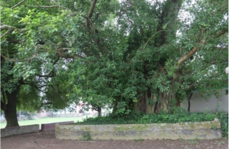 লোককথা, ইতিহাস ও  লুকিয়ে থাকা প্রত্ননিদর্শন