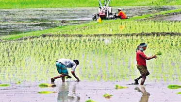 ভর্তুকি পৌঁছাতে কৃষক কার্ড চালুর উদ্যোগ