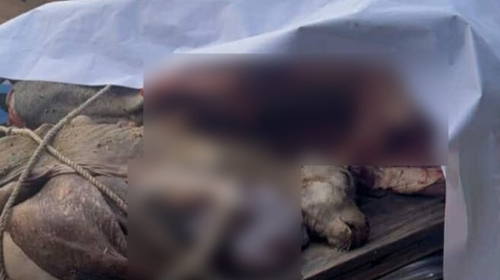 বেনাপোলে বাছুরসহ গরু জবাই: দুই কসাইকে জরিমানা