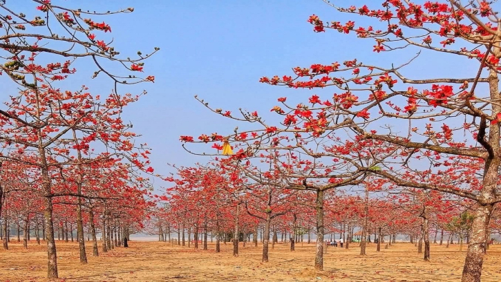 ‘ফুল ফুটুক আর নাই ফুটুক আজ বসন্ত’