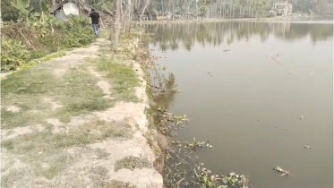 ঘের মালিক পানি অপসারণ করেনি, বিলের ২০০ বিঘা জমি অনাবাদি