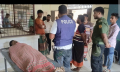বিদ্যুৎস্পৃষ্টে মেহেরপুরে হতাহত ৪ বিদ্যুৎস্পৃষ্টে মেহেরপুরে হতাহত ৪