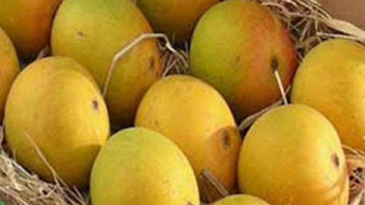 নবাব সিরাজউদ্দৌলার পছন্দের  আম ছিল কোহিতুর