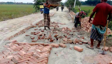 কালীগঞ্জে বিটুমিন কার্পেটিংয়ের  ভালো সড়ক ভেঙে ইটের সলিং