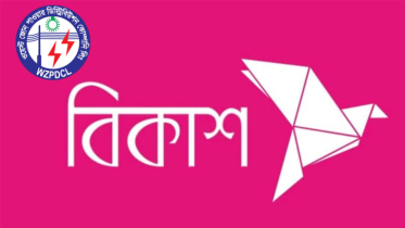 বিকাশের ‘সার্ভার জটিলতা’ ভোগান্তিতে যশোর শহরের বিদুৎগ্রাহকরা