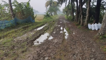 সড়কের বেহাল দশায় দুই কিলোমিটারের গন্তব্যে দশ কিলোমিটারের ঘুরপথ