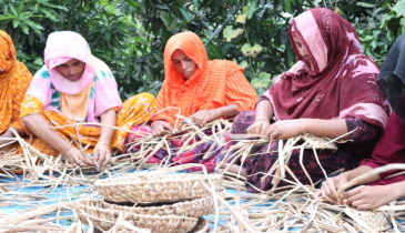 কচুরিপানায় বদলাচ্ছে নারীদের জীবনগল্প