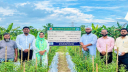 জলবায়ুর ঝুঁকি মোকাবিলায় বদলাচ্ছে পূর্বাঞ্চলের কৃষি জলবায়ুর ঝুঁকি মোকাবিলায় বদলাচ্ছে পূর্বাঞ্চলের কৃষি