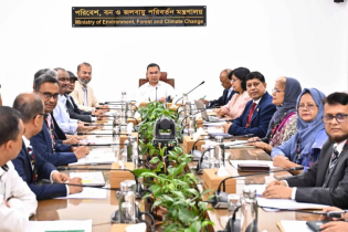 পরিবেশ রক্ষায় সবাইকে এগিয়ে আসার আহ্বান  প্রধানমন্ত্রীর