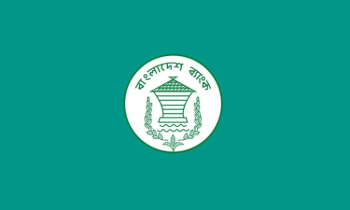 নিরাপত্তা ঝুঁকিতে বন্ধ বাংলাদেশ ব্যাংকের ওয়েবসাইট