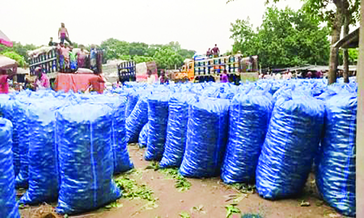 অব্যবস্থাপনায় সংকুচিত চৌগাছার কাঁচাবাজার