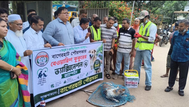 বাগেরহাটে বেওয়ারিশ কুকুরকে ভ্যাকসিন দেওয়া শুরু