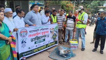 বাগেরহাটে বেওয়ারিশ কুকুরকে ভ্যাকসিন দেওয়া শুরু