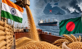 ভারত থেকে ফের গম কিনছে বাংলাদেশ