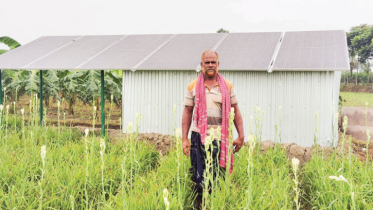 সোলার পাম্পে ঝিনাইদহে কমছে সেচ ব্যয়