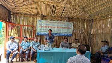 বান্দরবানে তামাক চাষের পরিবর্তে পরিবেশবান্ধব ফসল চাষের আহ্বান